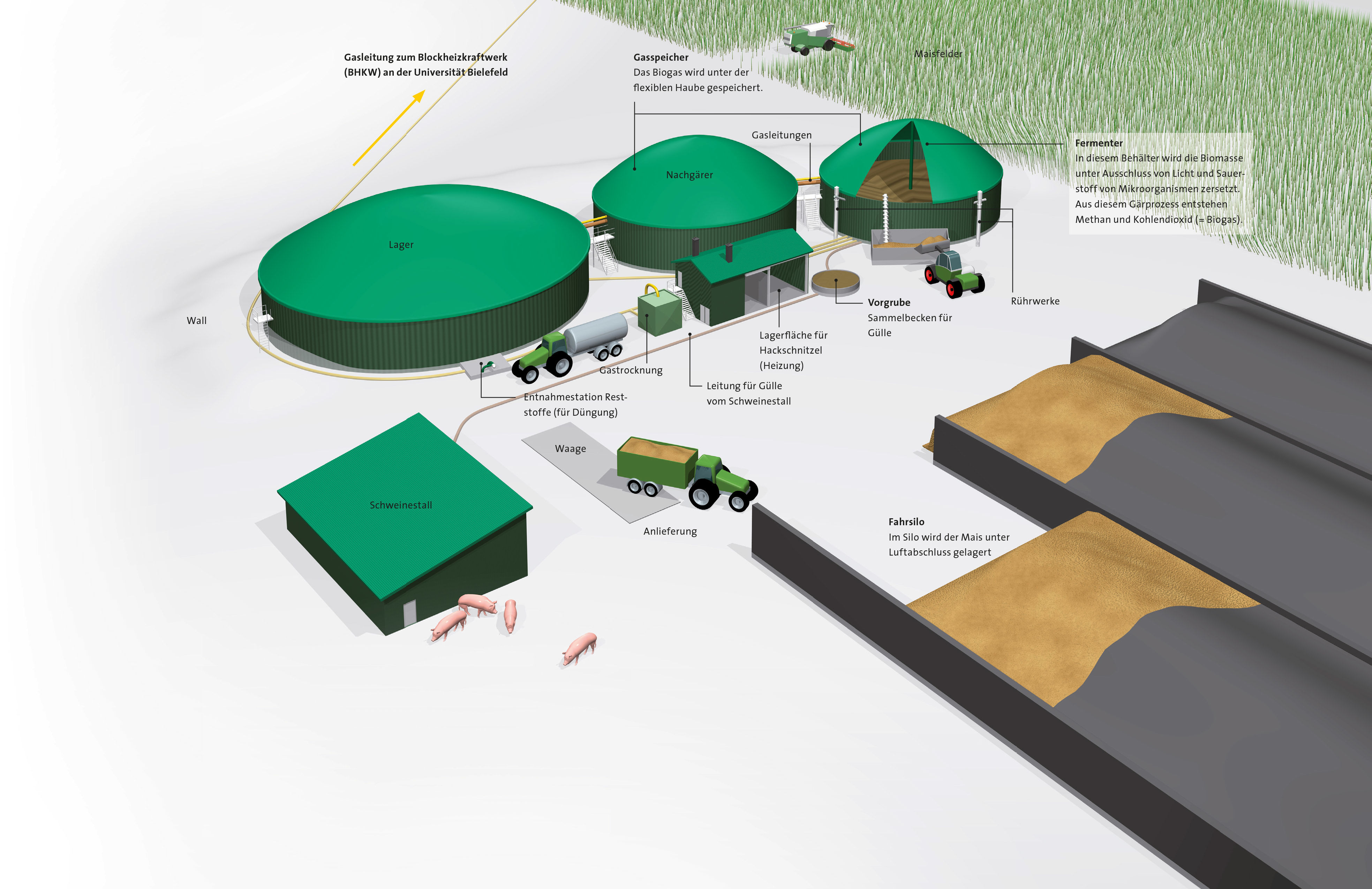 Funktionsgrafik der Biogasanlage